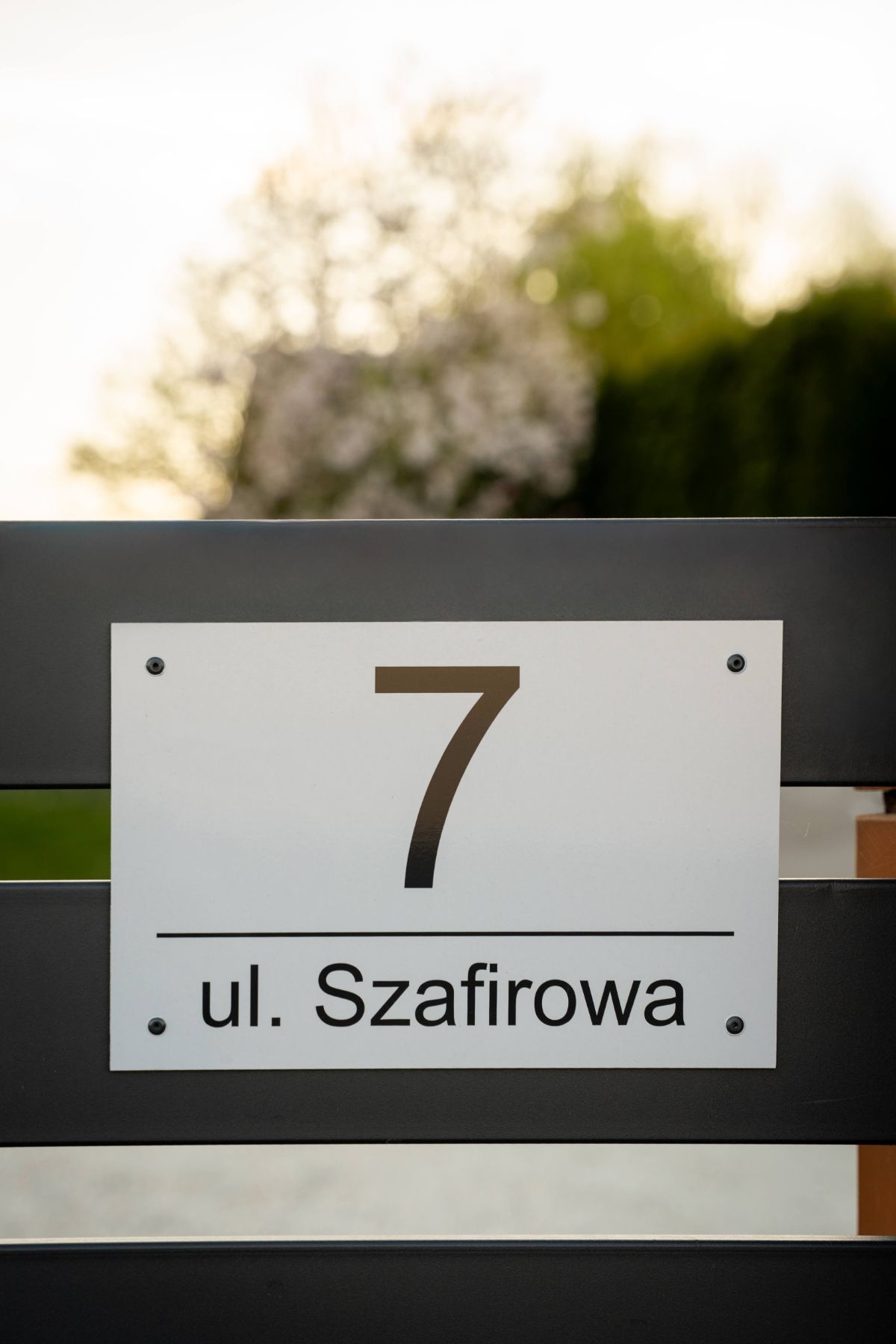 Las i drzewa wokół domu