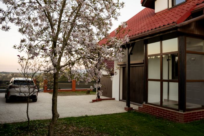 Ogród z kwitnącą magnolią